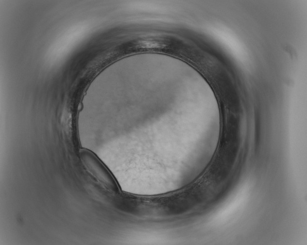 X0000112770387200910011241