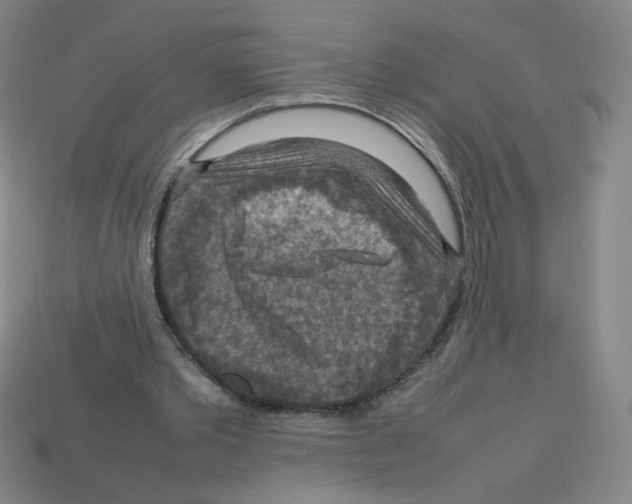 X0000112770389200910011241