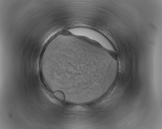 X0000112770390200910011241