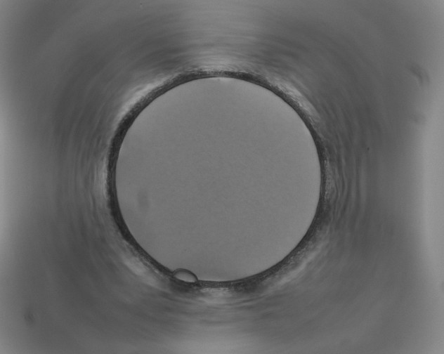 X0000112770391200910011241