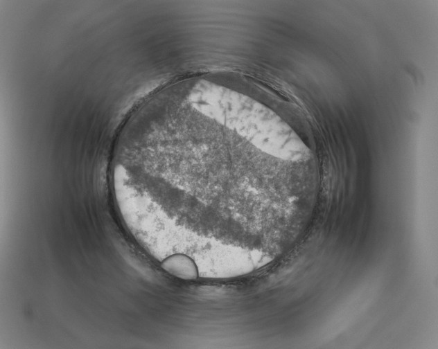 X0000112770394200910011241