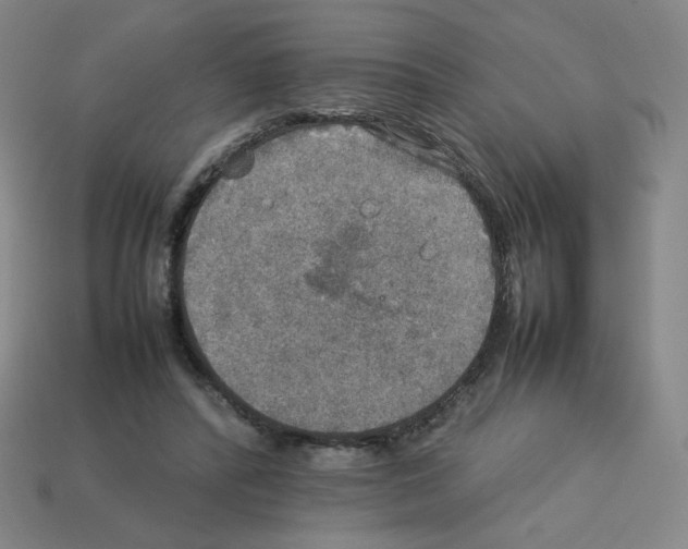 X0000112770400200910011241