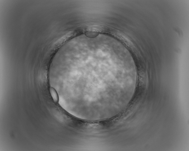 X0000112770401200910011241