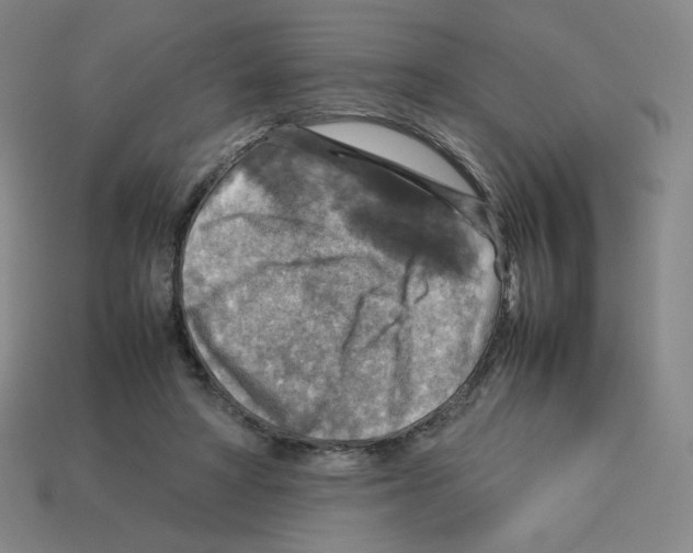 X0000112770402200910011241