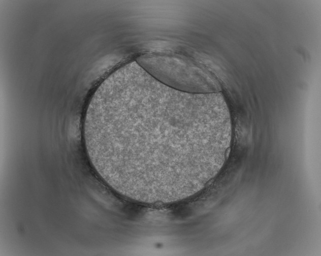 X0000112770403200910011241