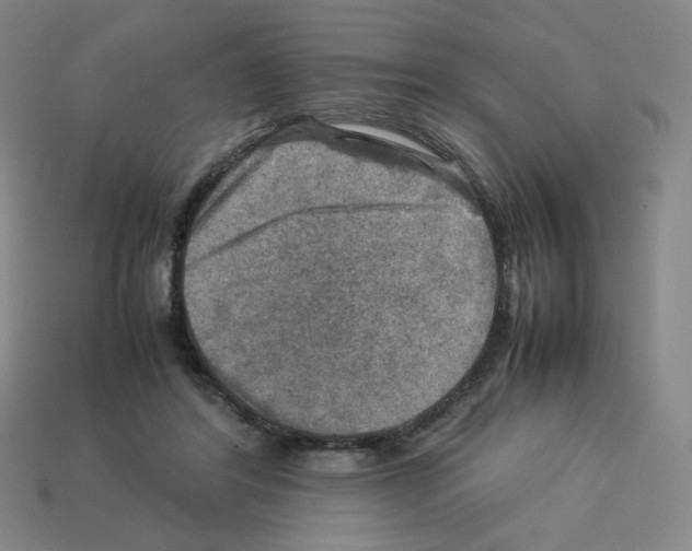 X0000112770404200910011241