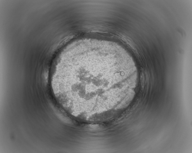 X0000112770406200910011241