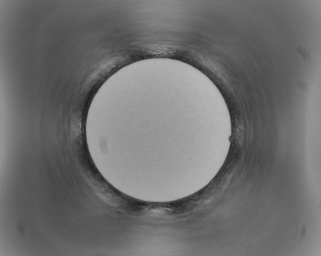 X0000112770407200910011241