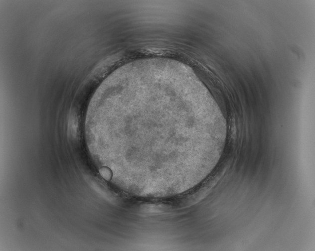 X0000112770408200910011241