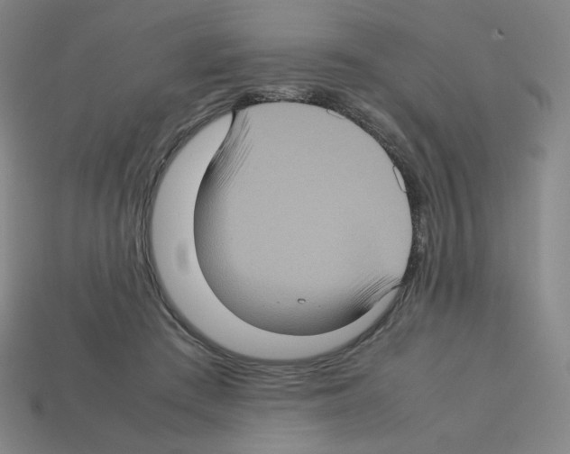 X0000112770409200910011241