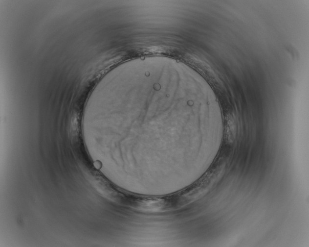 X0000112770410200910011241