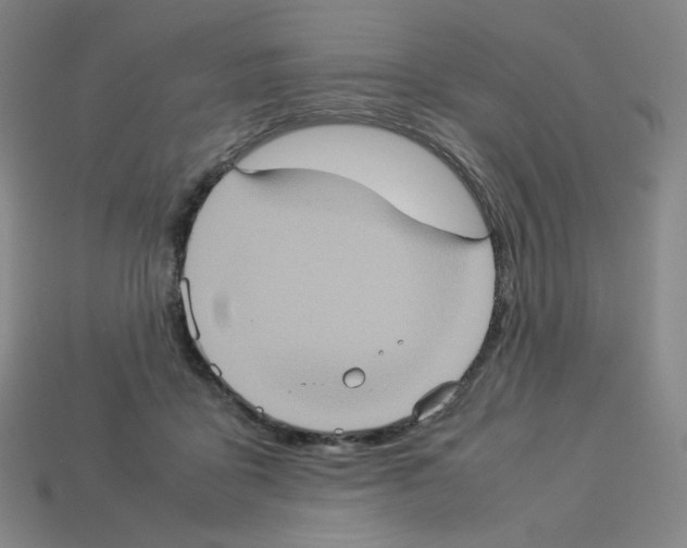 X0000112770411200910011241