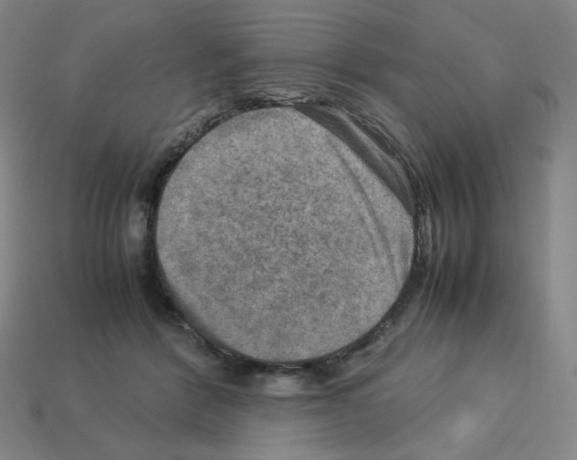 X0000112770412200910011241