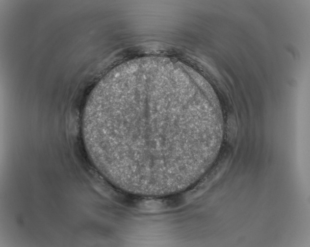 X0000112770413200910011240