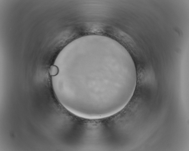 X0000112770415200910011240