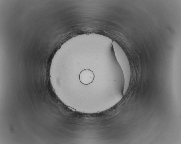 X0000112770416200910011240