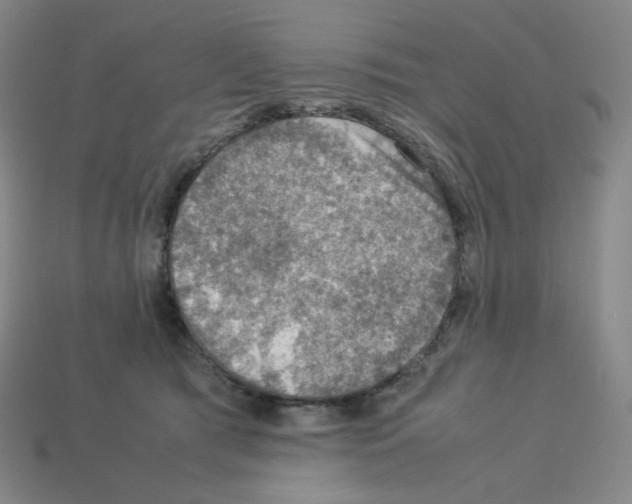 X0000112770417200910011240