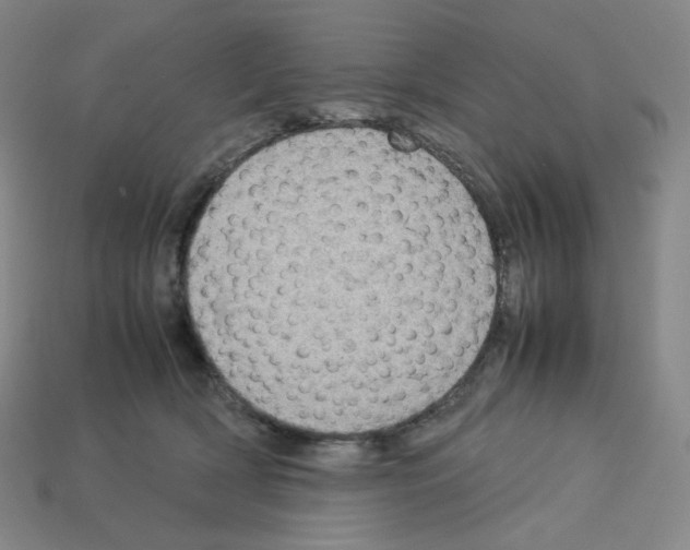 X0000112770418200910011240