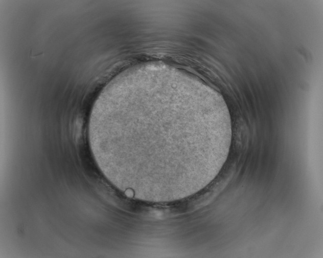 X0000112770420200910011240