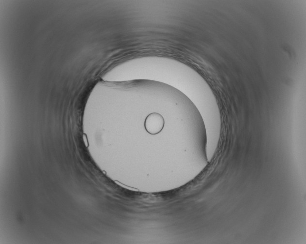 X0000112770421200910011240