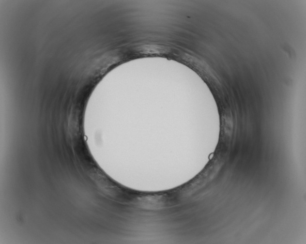 X0000112770422200910011240