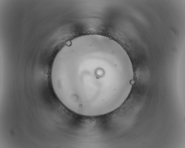 X0000112770423200910011240