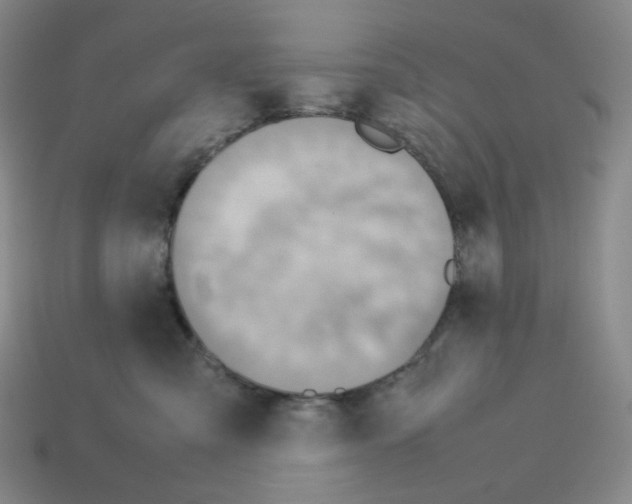 X0000112770427200910011240