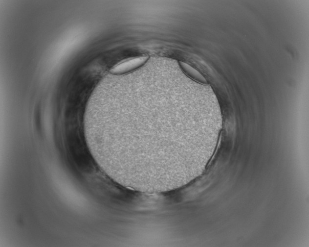 X0000112770429200910011240