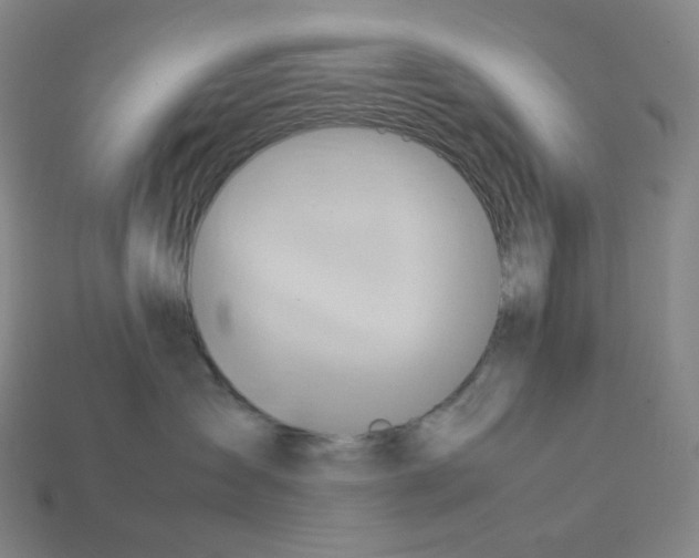 X0000112770431200910011240