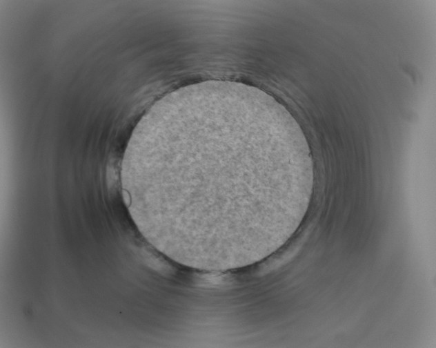 X0000112770432200910011240