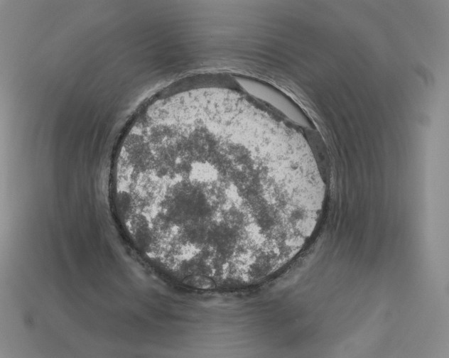 X0000112770434200910011240