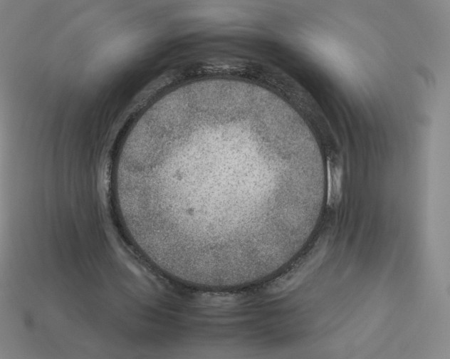 X0000112770435200910011240