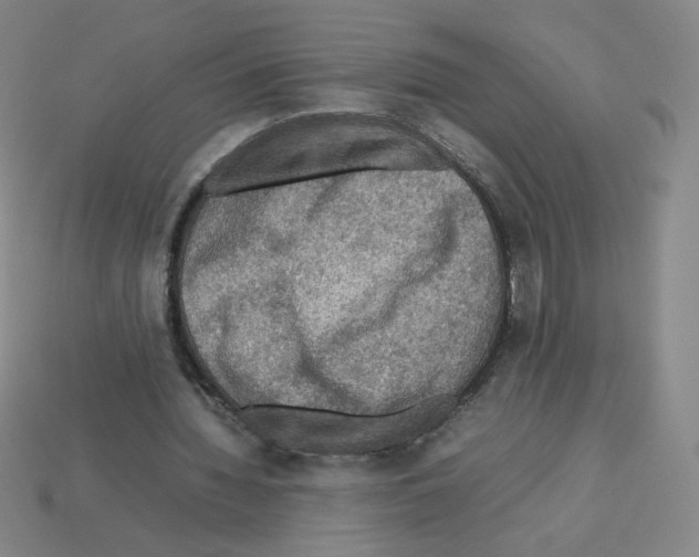 X0000112770436200910011240