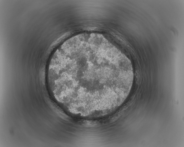 X0000112770442200910011240