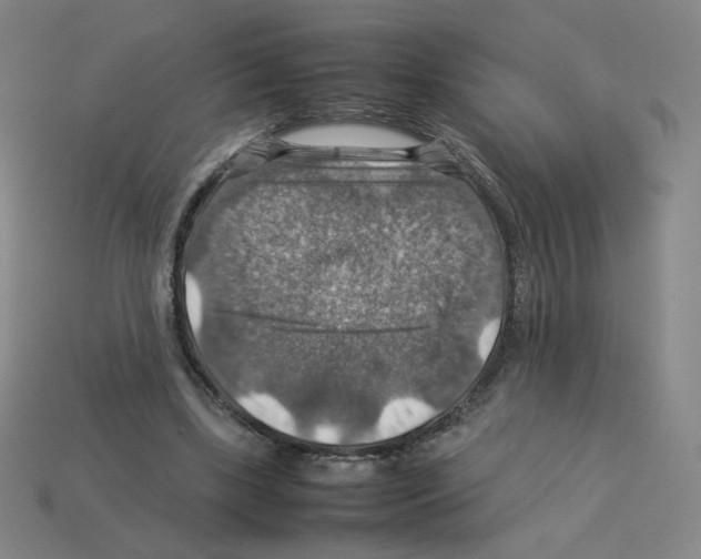 X0000112770443200910011240