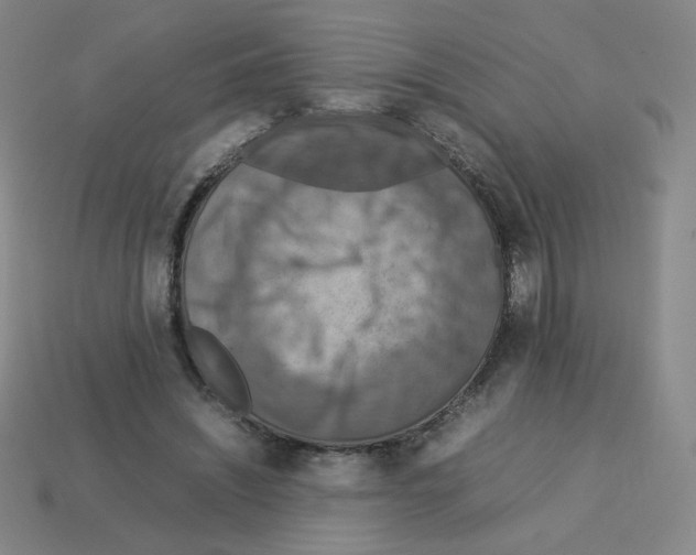 X0000112770444200910011240