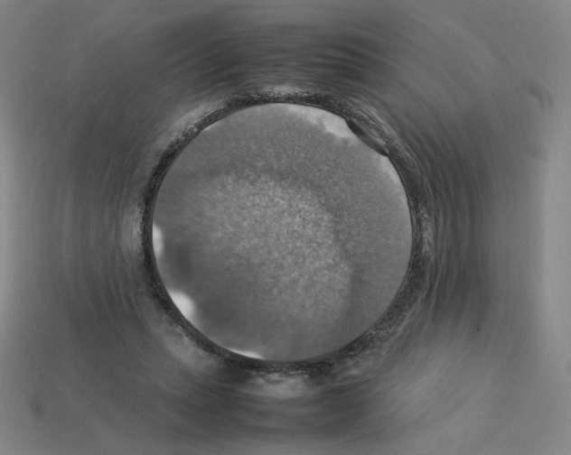 X0000112770447200910011240