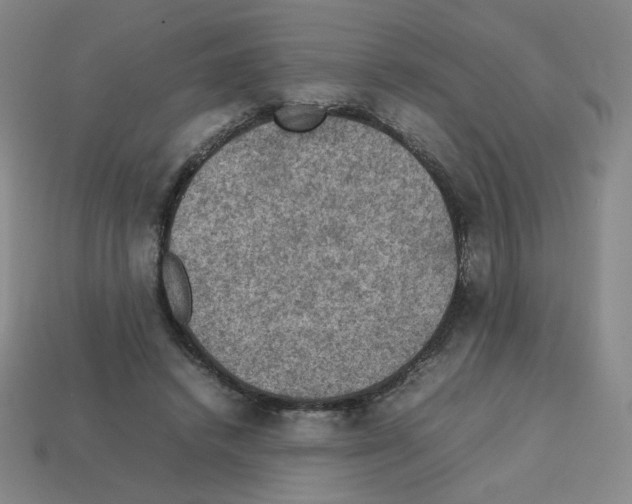 X0000112770448200910011240