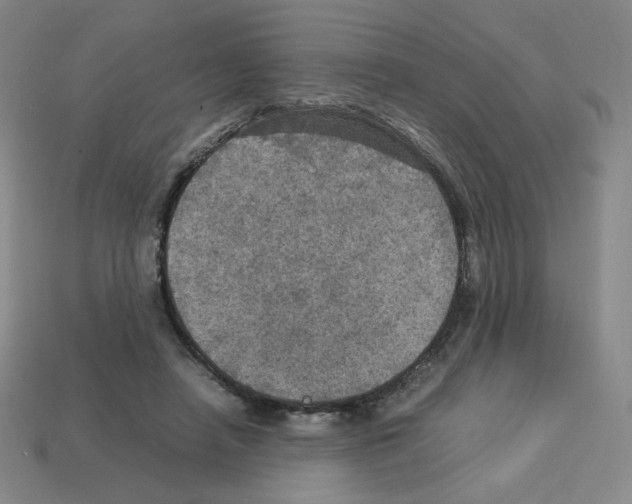 X0000112770450200910011240