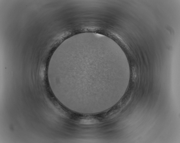 X0000112770451200910011240