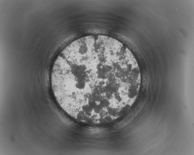 X0000112770453200910011240