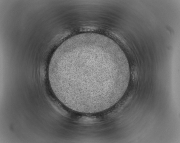 X0000112770455200910011240