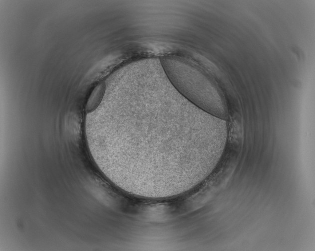 X0000112770456200910011240