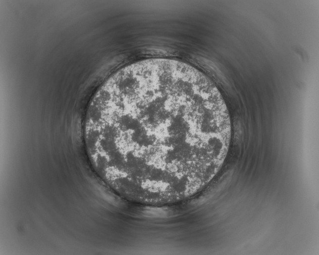 X0000112770457200910011240