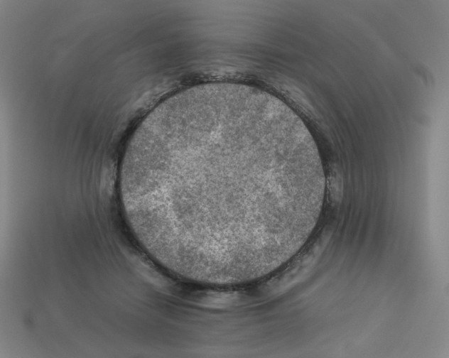 X0000112770458200910011240