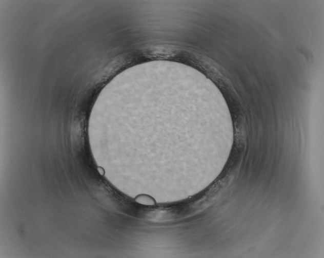 X0000112770460200910011240