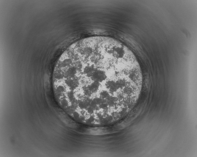 X0000112770461200910011240