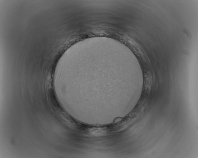 X0000112770465200910011240