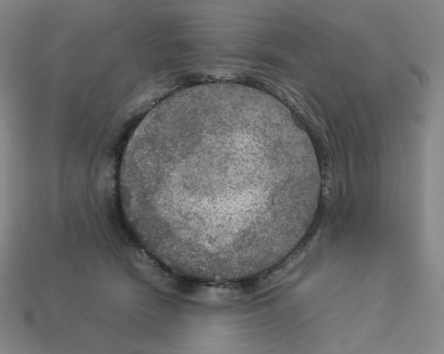 X0000112770466200910011240