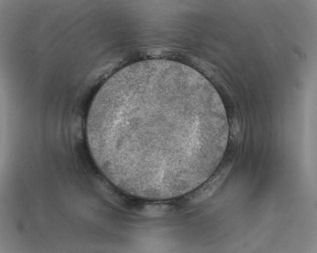 X0000112770470200910011240